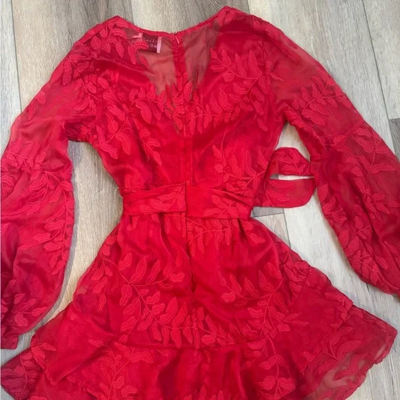 Hello Molly Vibrant Red Long Sleeve Dress - Picture 6 of 9